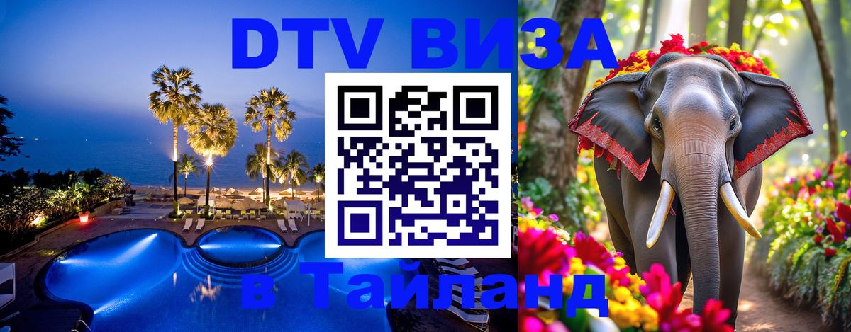 Оформление DTV визы под ключ: стоимость и тарифы, только загранпаспорт - Махачкала  18.11.2025 